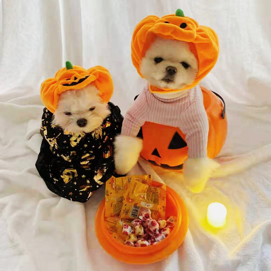 Pet Cat Dog Pumpkin Cat Hat Decoration Headwear