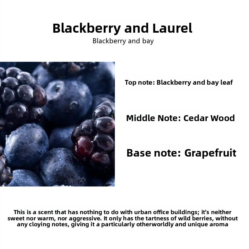Scented Aromatherapy Candles