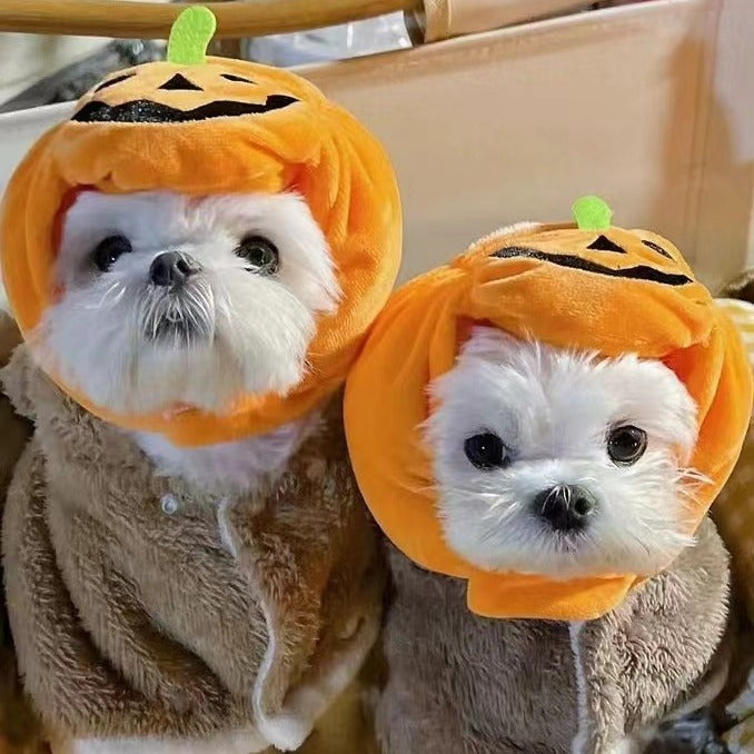 Pet Cat Dog Pumpkin Cat Hat Decoration Headwear