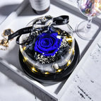 Blue / 115*90*110(1mm)