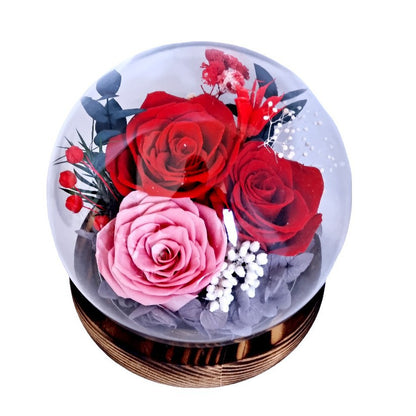 Eternal Flower Glass Dome Rose Gift