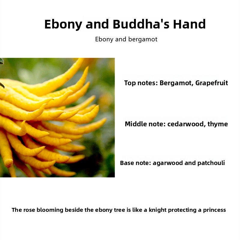Scented Aromatherapy Candles