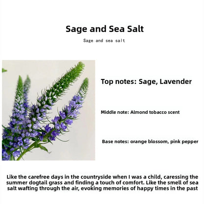Scented Aromatherapy Candles