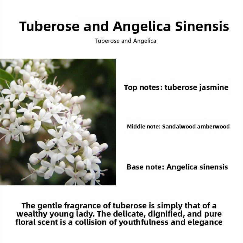 Scented Aromatherapy Candles