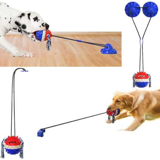 Dog outdoor leash