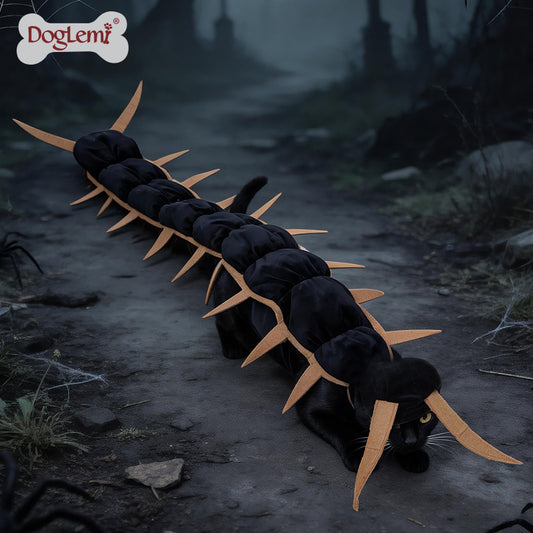 Halloween Pet Spider Costume