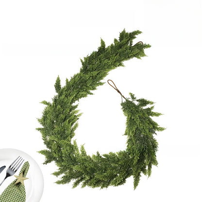 Cedar boughs for Christmas decoration