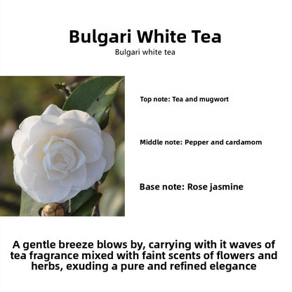 Scented Aromatherapy Candles