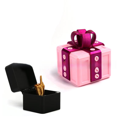 3D Printed Annoying Prank Gift Box Novelty Gag Toy