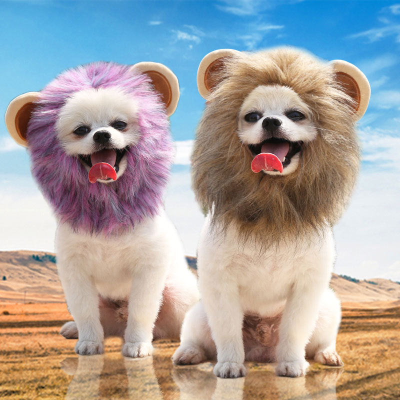 Halloween Lion Pet Dog Cat Hat