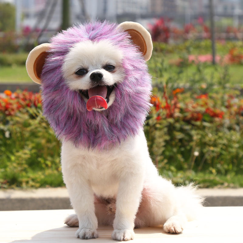 Halloween Lion Pet Dog Cat Hat