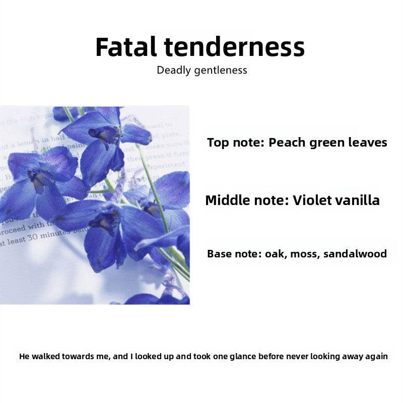 Scented Aromatherapy Candles