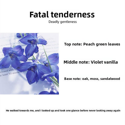 Scented Aromatherapy Candles