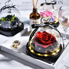 Red / 115*90*110(1mm)